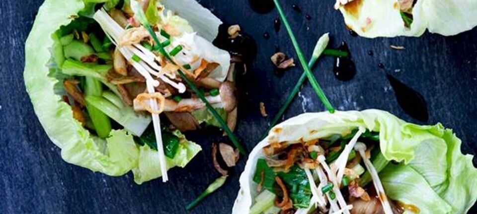 Svampesalat med bokchoy, sort sesam og østerssauce