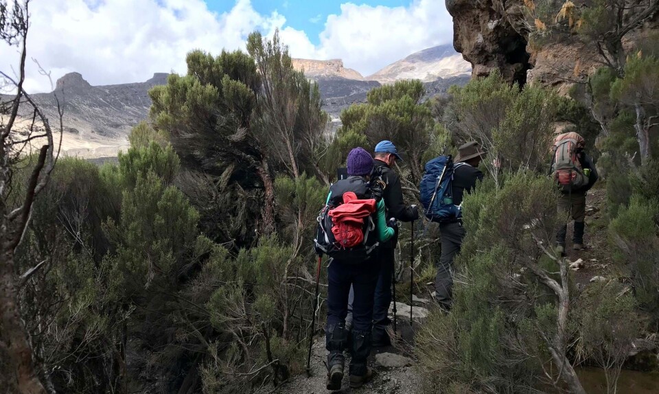 Sådan besteg jeg Kilimanjaro: Fra nedtur til toptur