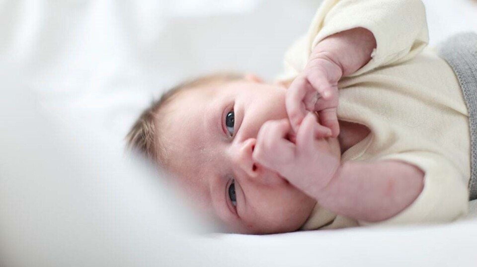 Babys mentale udvikling - de første tigerspring