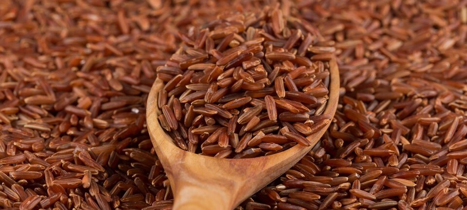 5 madvarer, der (måske) kan sænke dit kolesteroltal