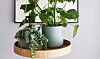 DIY: Lav en flot svævende bakke til dine planter
