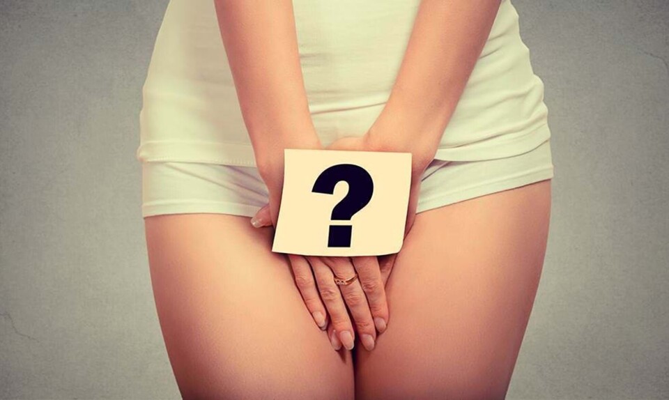 Quiz om kvinders underliv