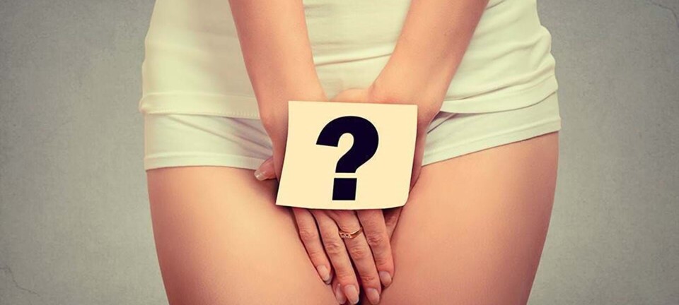 Den Store Kusse-Quiz: Hvor godt kender du dit underliv?