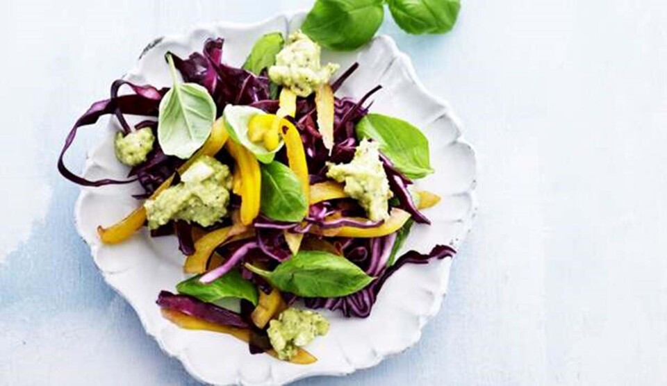 Rødkålssalat med avocado dressing
