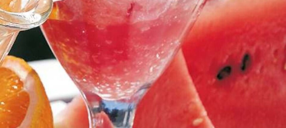 Lækker hjemmelavet melonsorbet