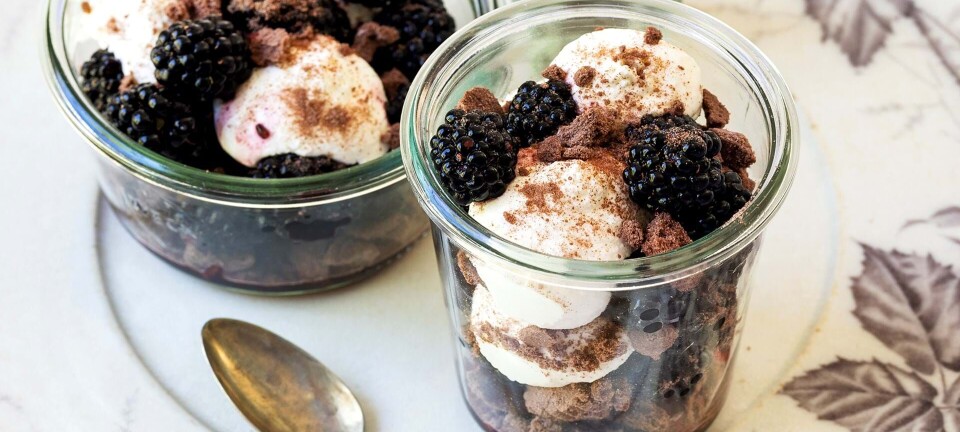 Brombærtrifli med rutebiler