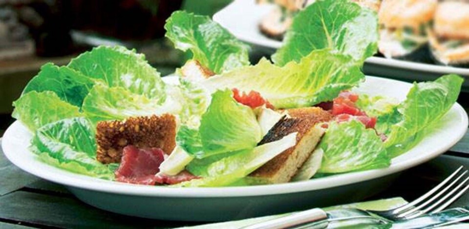 Cæsarsalat med carpaccio