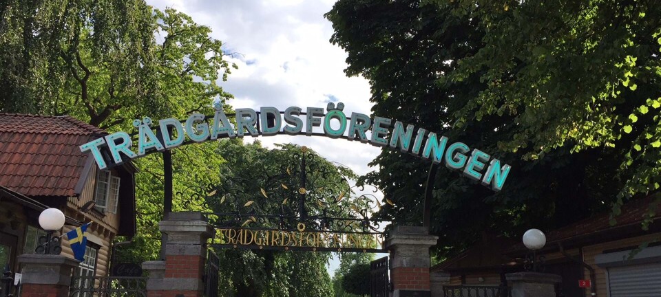 Smukke parker og gigantiske rejemadder: 24 timer i skønne Gøteborg