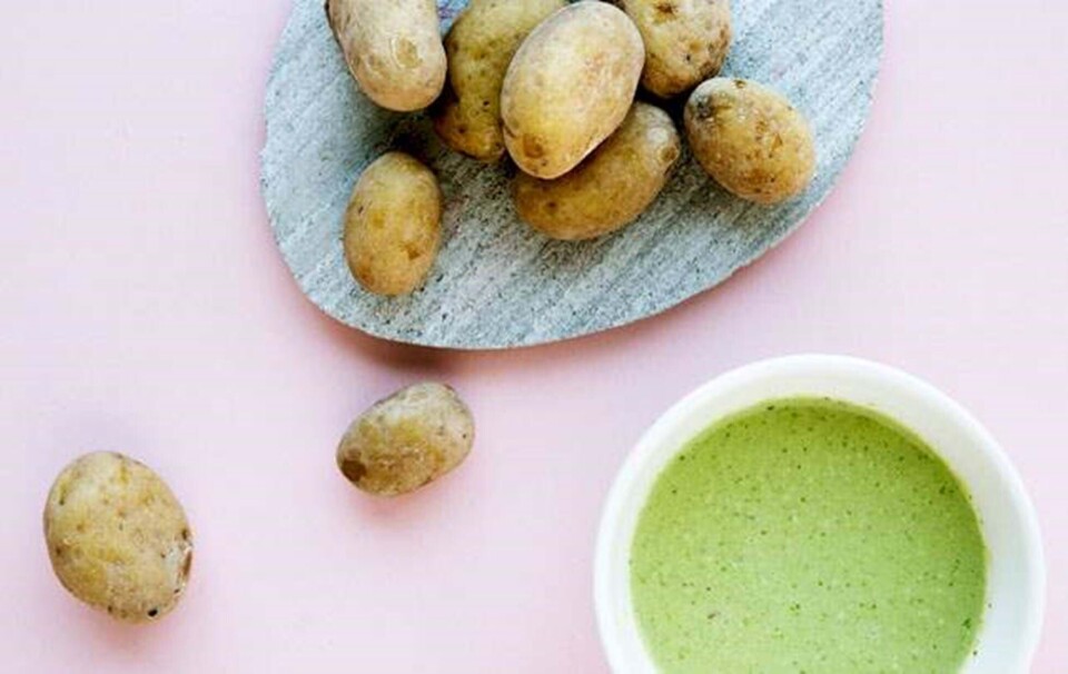 Papas Arrugadas med mojo verde – saltkartofler med grøn dressing