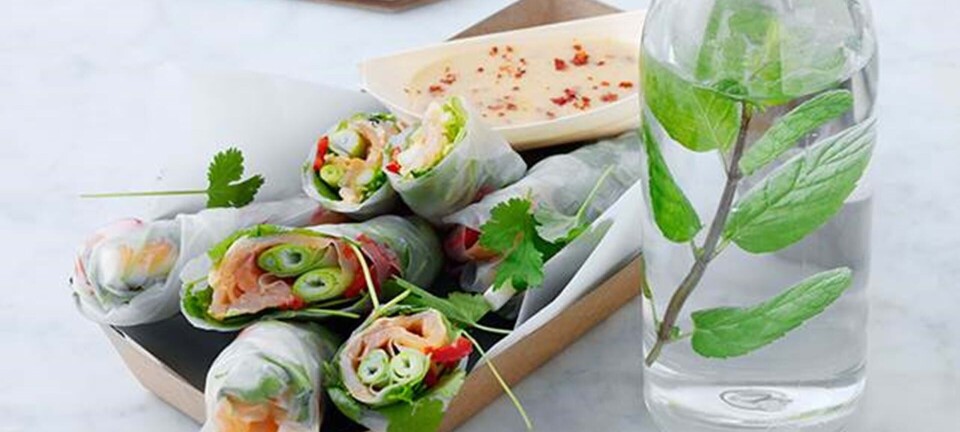 Wraps med laks, ingefær & forårsløg