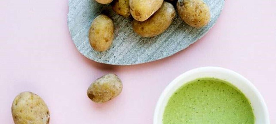 Papas Arrugadas med mojo verde – saltkartofler med grøn dressing