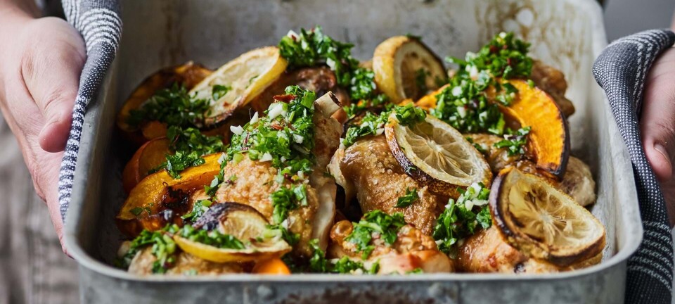 Kylling, hokkaido og chimichurri