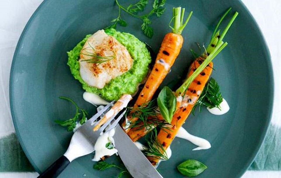 Opskrift på stegt havkat med ærtepure og grillede gulerødder med citronfløde