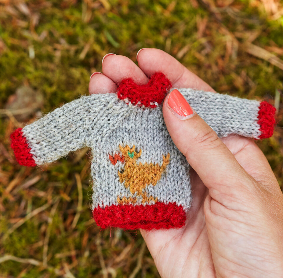 Minisweater med and strikkeopskrift