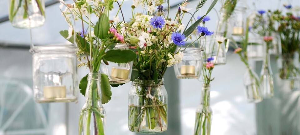 3 idéer: Sådan kan du genbruge glas til sommerfesten