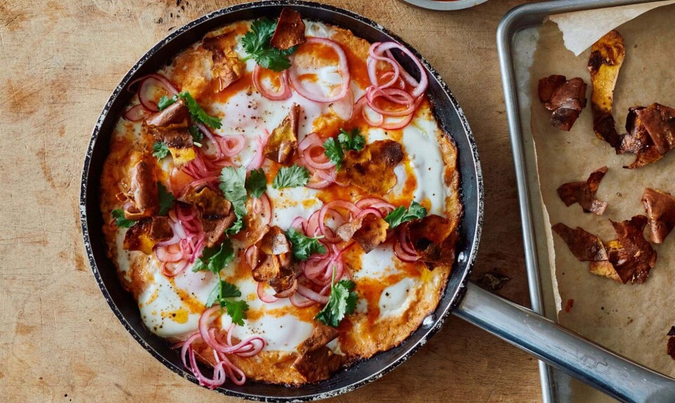 Shakshuka Ottolenghi opskrift