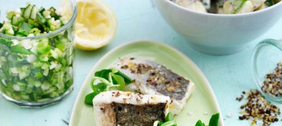 Kulmule & kartoffelsalat