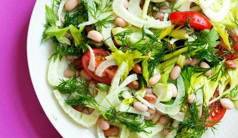 Fennikelsalat opskrift