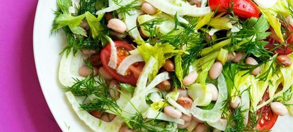 Fennikelsalat med hvide bønner, estragon og selleriblade