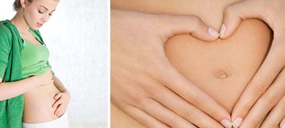 10 ting du skal vide om sund fordøjelse