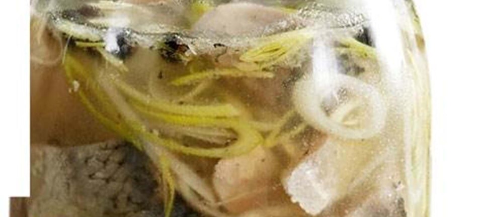 Gin- og enebærmarinerede sild