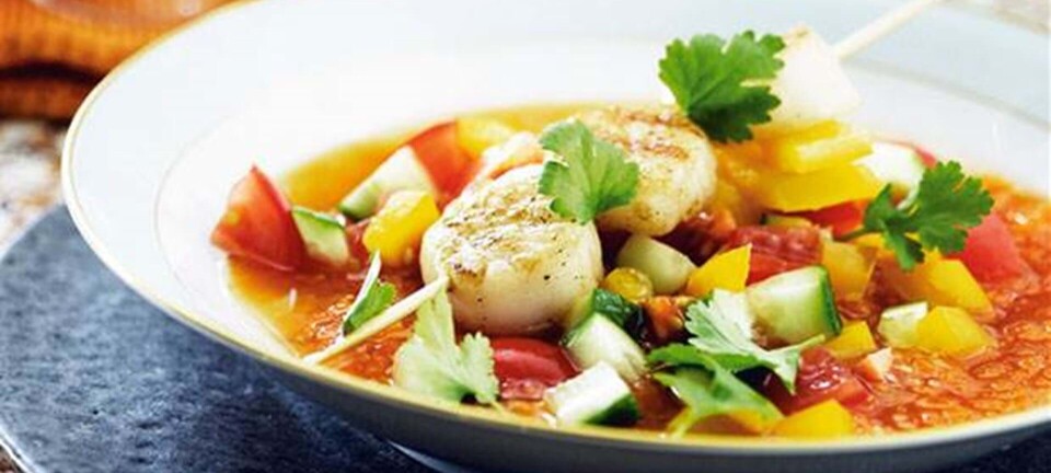 Orange gazpachosuppe med grillede kammuslinger