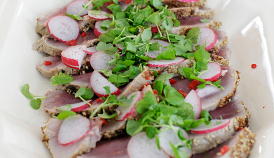 Opskrift på kold tun med radiser, frisk chili og brøndkarse