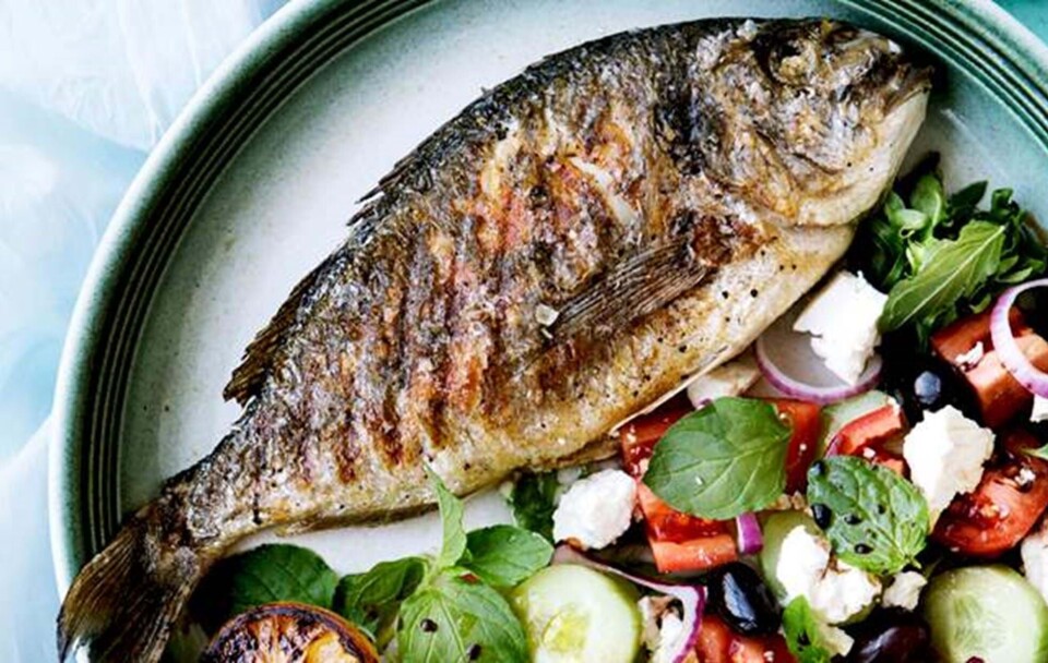 Græsk salat og grillet dorade