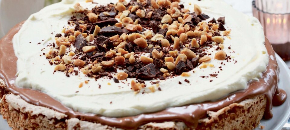 Bag en skøn snickerskage