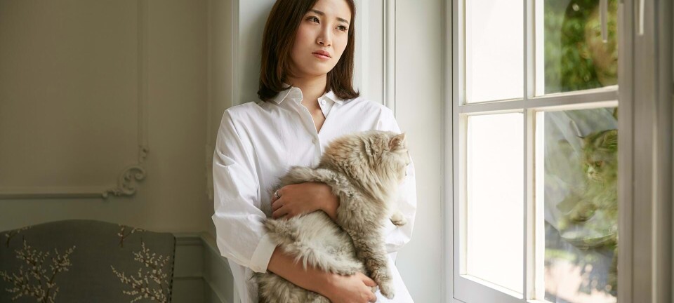 Jeg bliver chikaneret af en ukendt