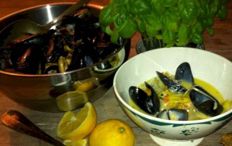 Opskrift på blåmuslingesuppe
