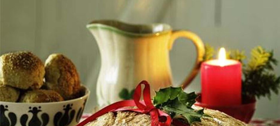 Langtidshævet surbrød