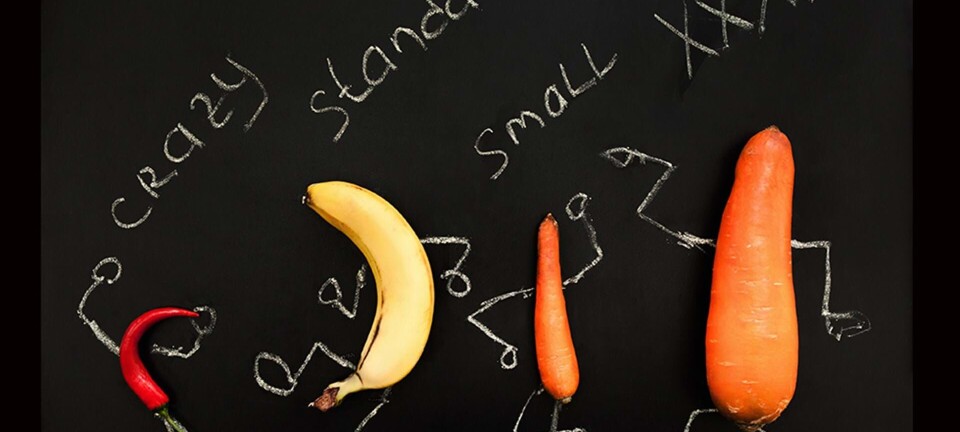 6 ting du måske ikke vidste om mandens seksualitet