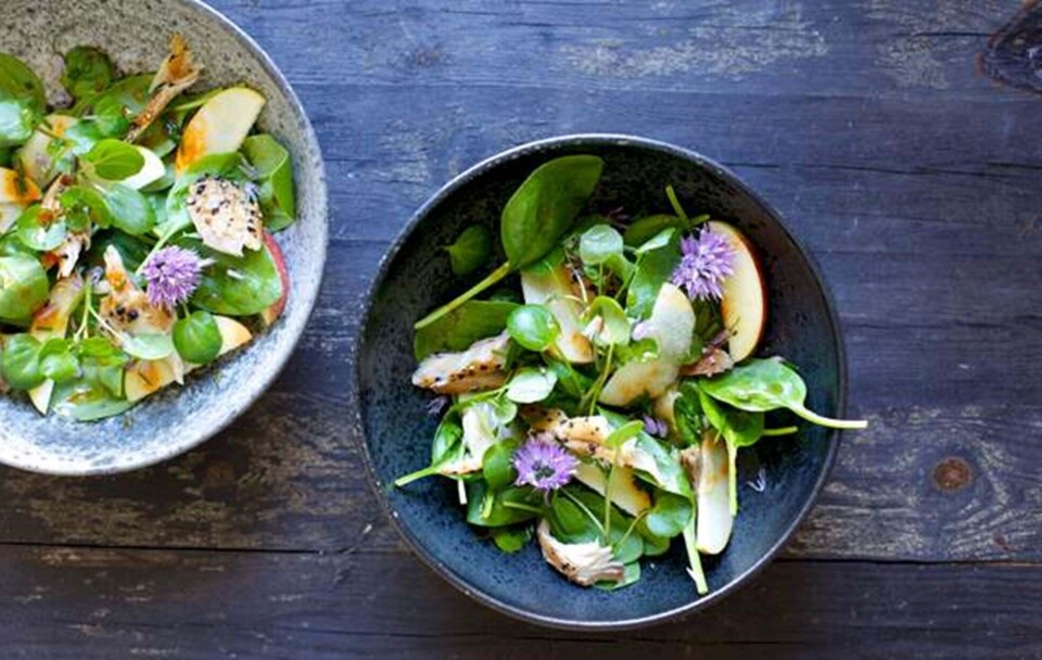 Sprød salat med chilidressing og varmrøget makrel