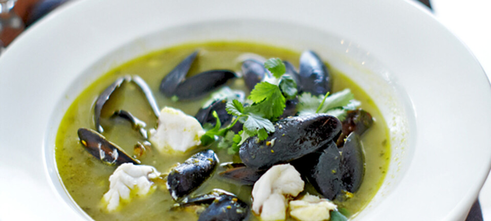 Muslingesuppe med havtaskekæber