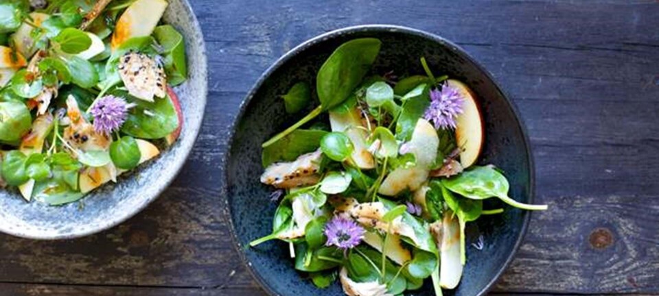 Sprød salat med chilidressing og varmrøget makrel