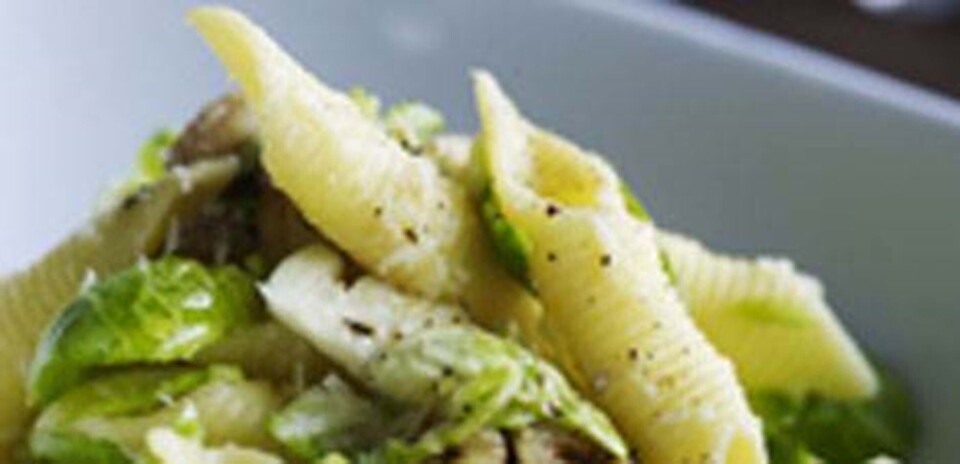Pasta med rosenkål