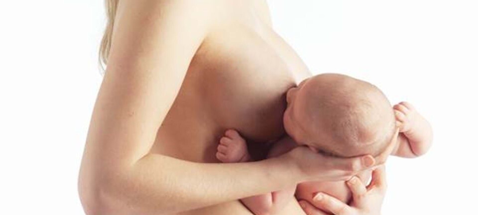 AV – skal det gøre ondt at amme?