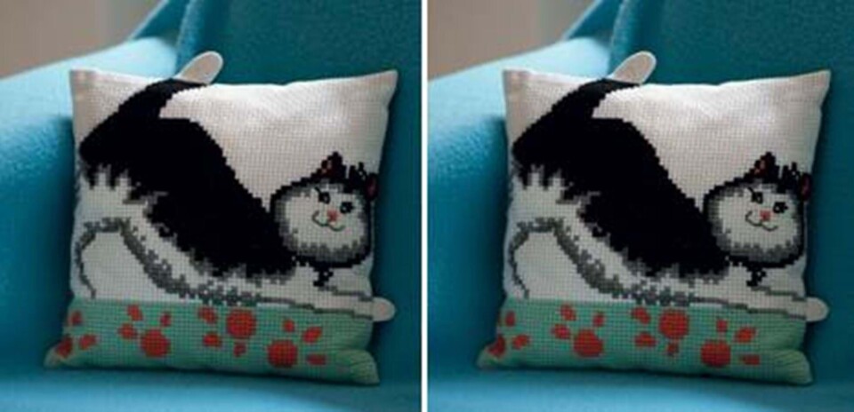 Broder selv den kæreste kat til sofaen fra Hjemmet