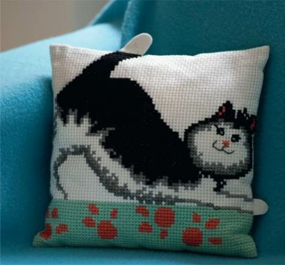 Broder selv den kæreste kat til sofaen