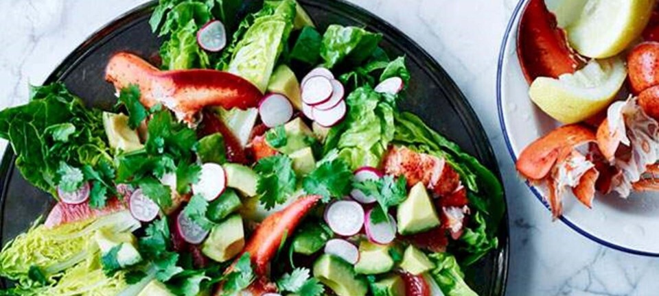 Salat med hummer og avocado