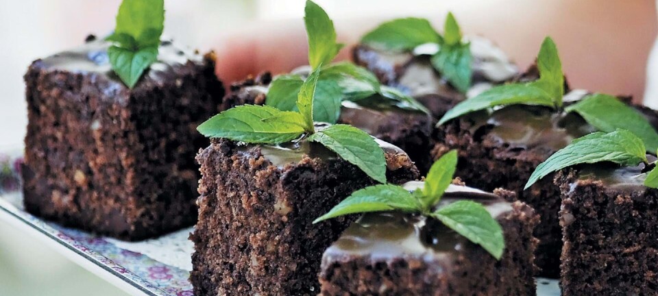 Skøn chokoladekage med skildpadder