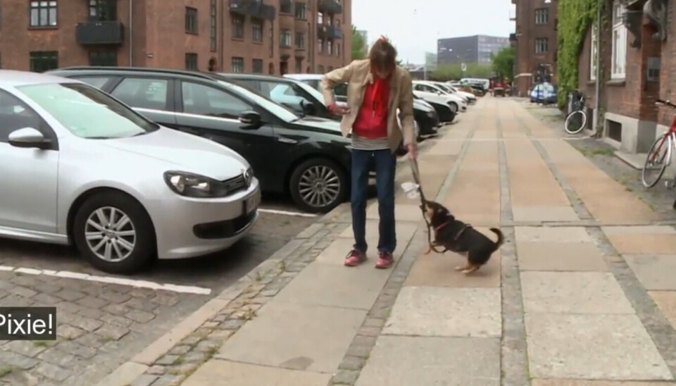 (Foto: TV3)