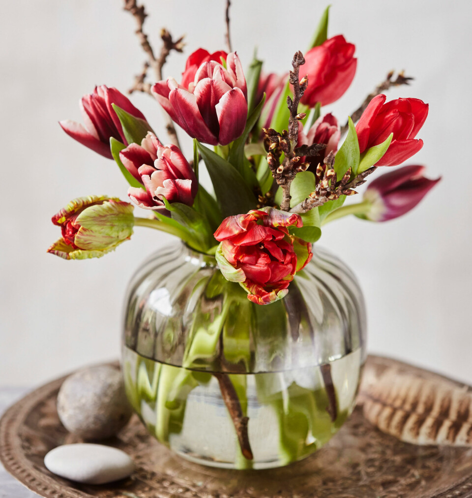 Du kan finde tulipaner i flere forskellige rÞde nuancer, og det ser flot ud, nÄr du mikser dem i en buket sammen med blommegrene med tykke knopper.