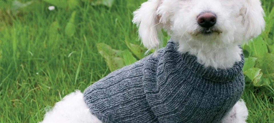 Strik selv: HundedĂŠkken med rib