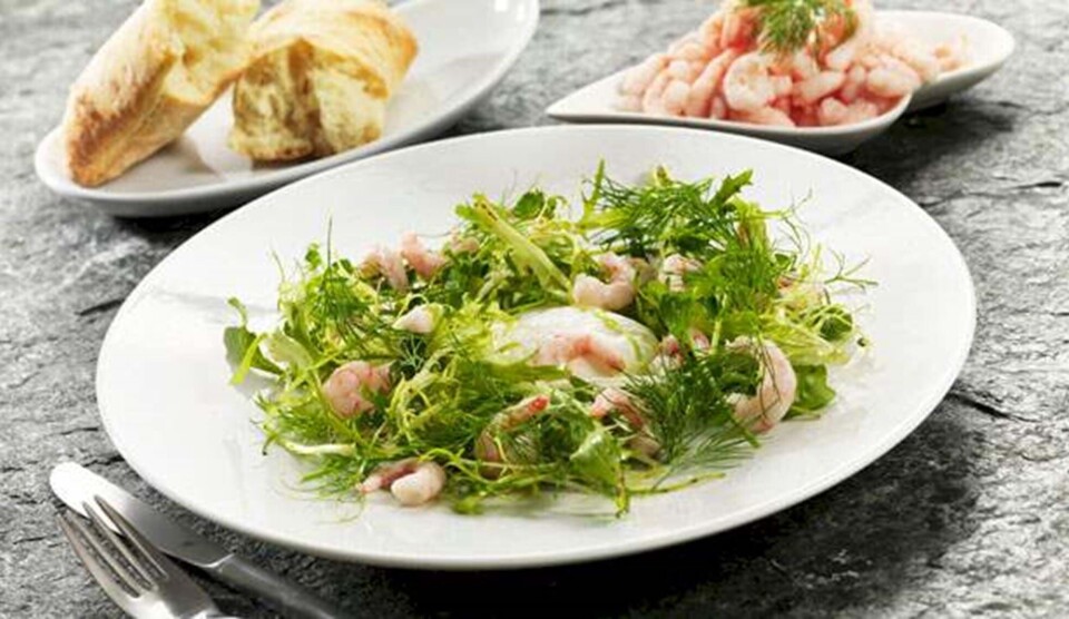 Opskrift på kutter-rejer med pocheret æg og marinerede salater