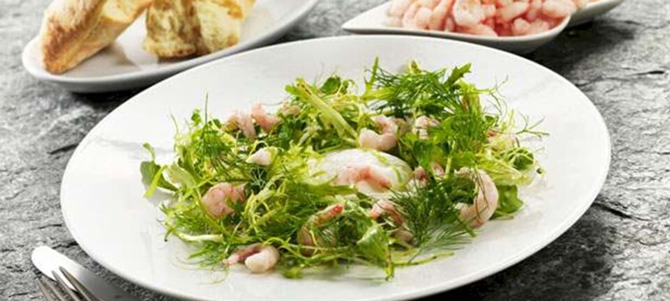 Kutter-Rejer med pocheret æg og marinerede salater