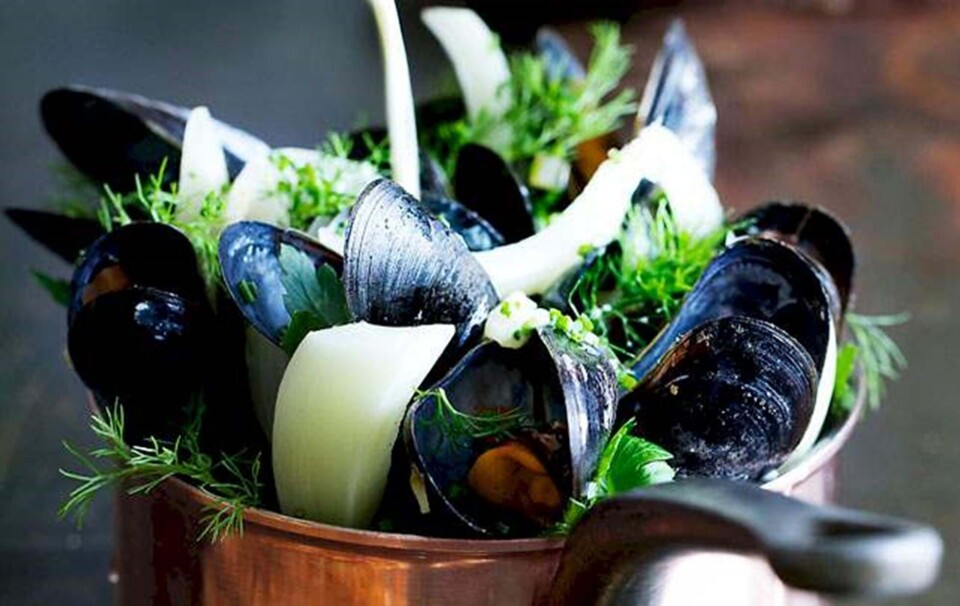 Opskrift på moules marinière med fennikel