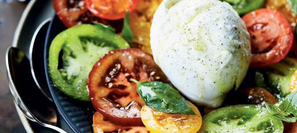 Flot & festlig tomatsalat med mozzarella
