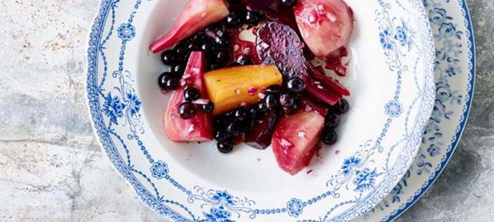 Nye rødbeder med solbær